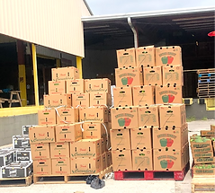 Mecca Tomatoes.png