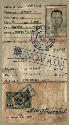 nuVito Passport B.jpg