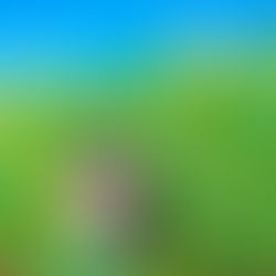 Strengthening Livelihoods and HIV Prevention Through Community Study Circles in Mzokoto