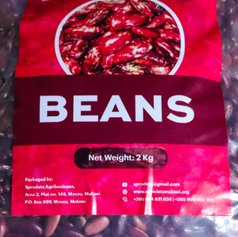 SPRODETA Golden Beans: A Taste of Nutrition, a Touch of Empowerment