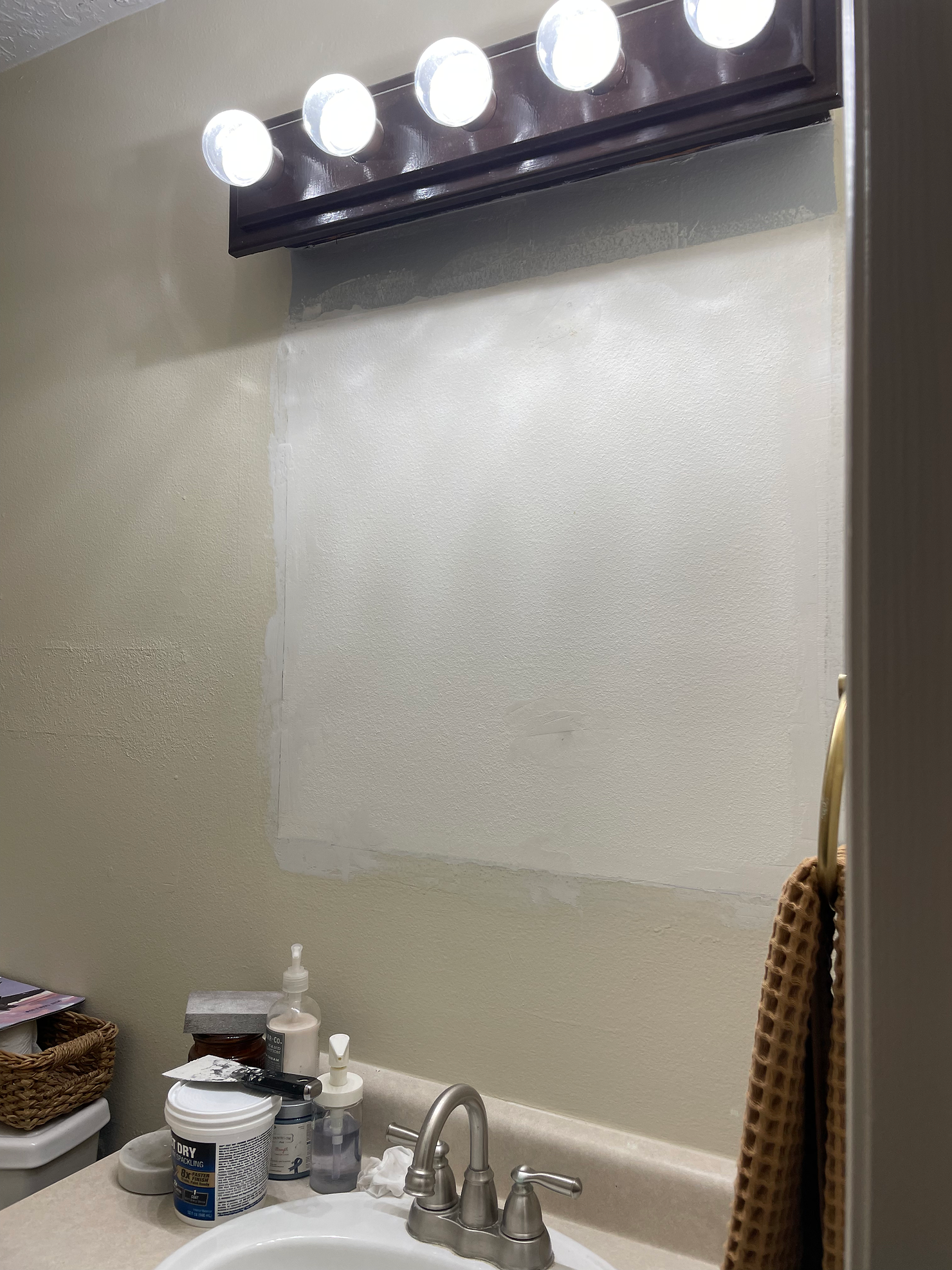 Guest Bath Progress