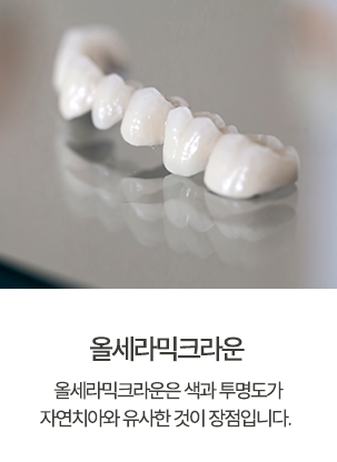 올세라믹.png