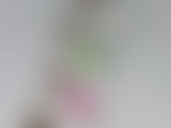 small businesses i have been loving 