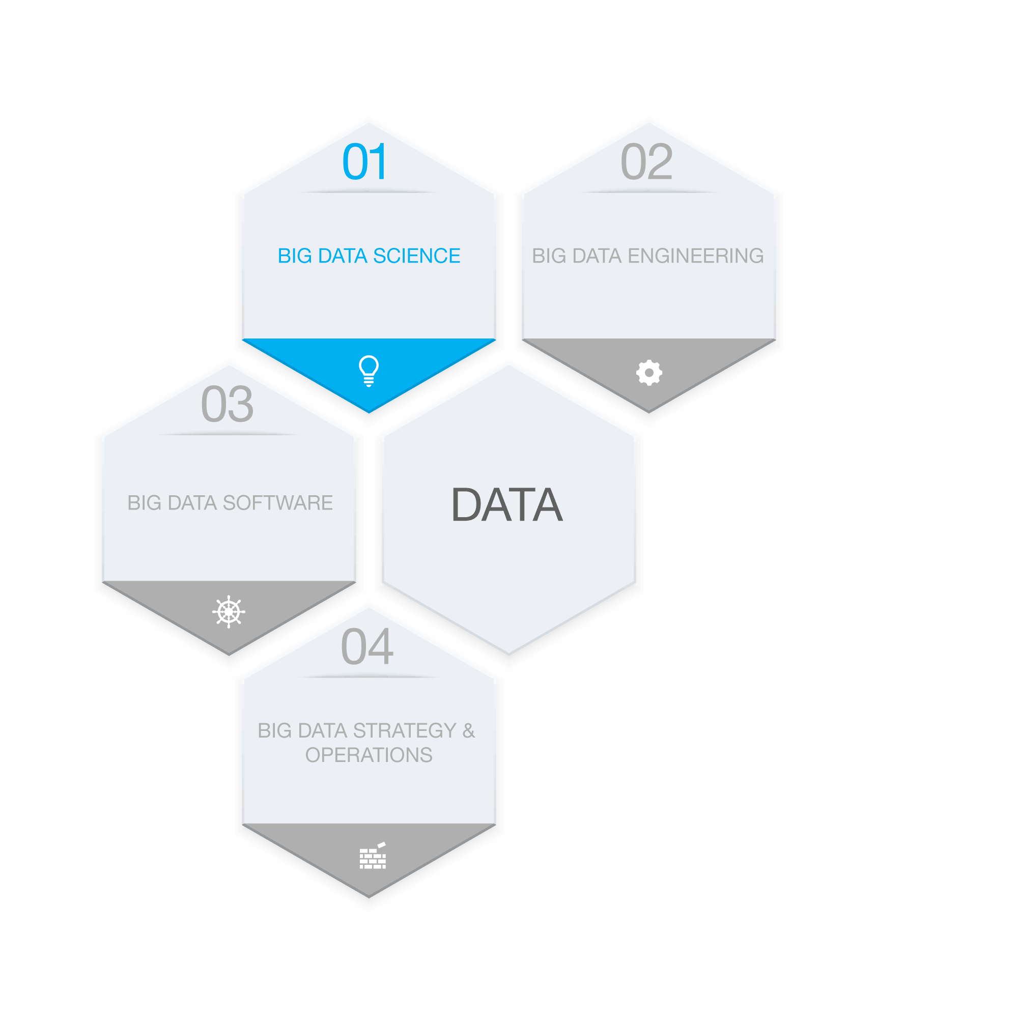 Grafik-Services-Big-Data-Science.gif