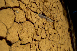 DSC_6680.jpg
