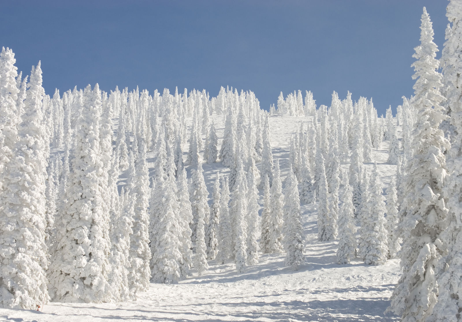 Steamboat Springs mountain scenery