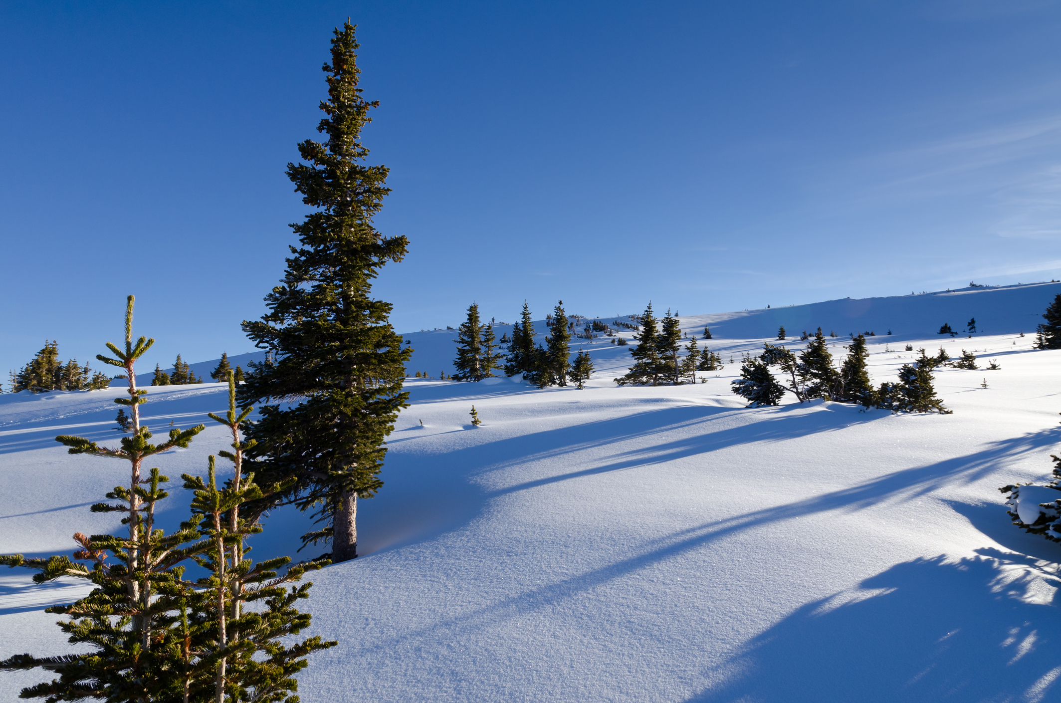 Beaver Creek mountain scenery