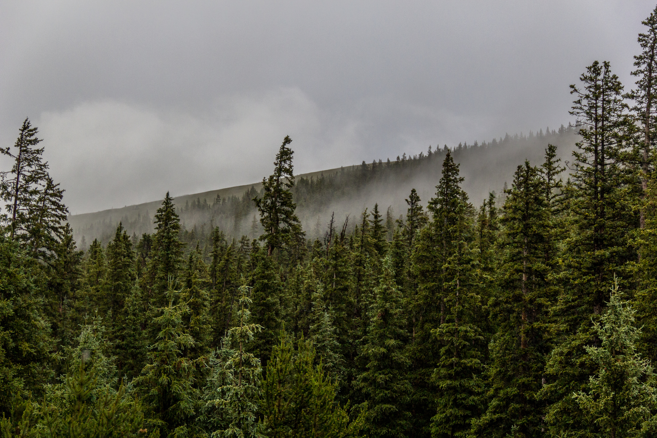 Colorado mountain getaway scenery