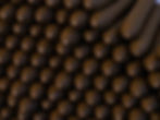 DSC00318.jpeg