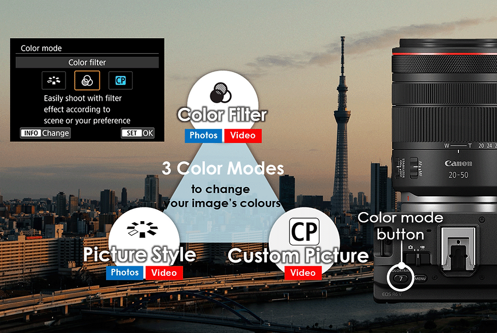 可透過 Custom Picture 在機身中載入 Look 檔案 (LUT) 與色彩濾鏡 (Color Filter)