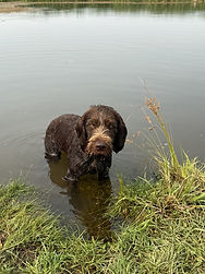 GaugeWater.jfif