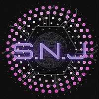 snj logo_edited_edited.jpg