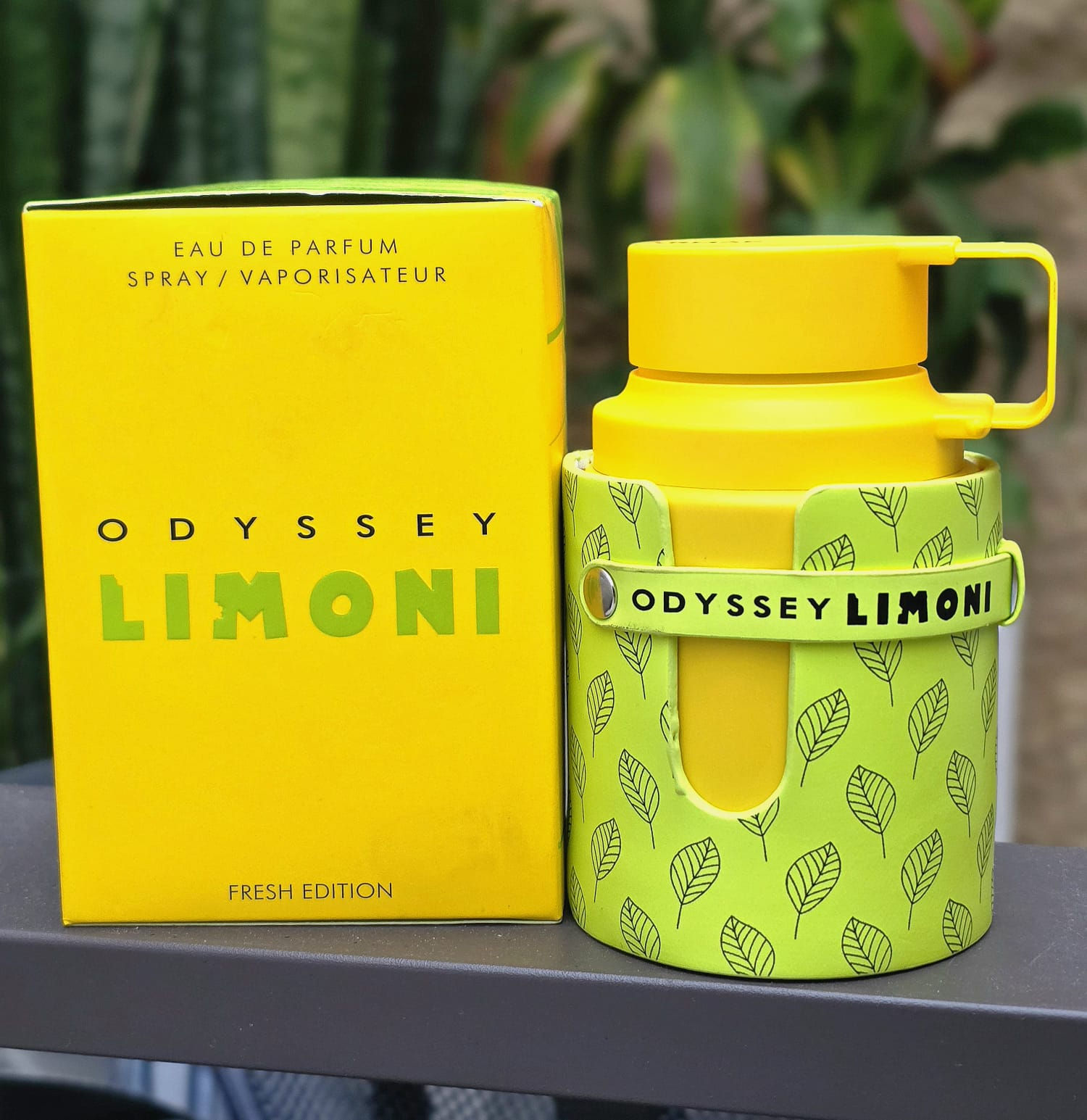 Odyssey Limoni