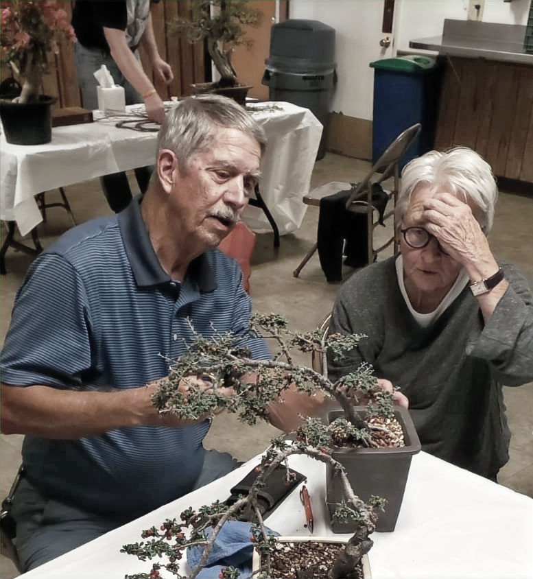 How to Wire a Bonsai Tree