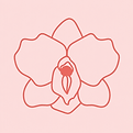 ChatGPT Image Jul 11, 2026 at 02_17_55 PM.png
