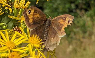 PXL_20230725_144820941.jpg