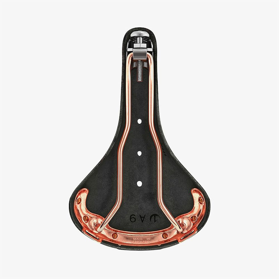 Thumbnail: Brooks B17 Saddle (Black-Bottom)