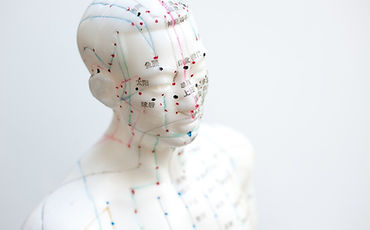 Acupuncture Model