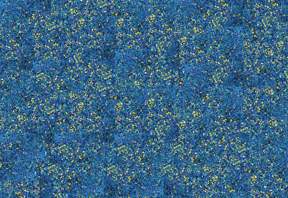 p333.JPG