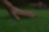 metis_edited.jpg
