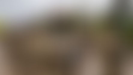 ޙަލަބުގައި ހިނގި ކުރިމަތިލުންތައް ނިމުމަކަށް އައިސް، ކުރުދީ ހަނގުރާމަވެރިން އެ ސިޓީން ފުރިހަމައަށް ފައިބައިފި