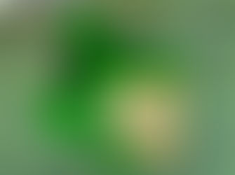 ޝައިޚް މަޤްޞޫދުން މީހުން ހުސްކުރުމުގެ މަސައްކަތަށް އެސް.ޑީ.އެފް އިން ހުރަސްއަޅައިފި