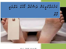 ފޮތް/ ކަށުކަމާކެމީކަން ދަސްކުރާ ކޯހުގެ އަތްމަތީ ފޮތް