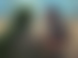 ”މުހިއްމުކަމަކީ ތިބާއަށް ކުޅަދާނަވީ ގޮތަކަށް އިސްލާމްދީނަށް ޚިދުމަތްކުރުމެވެ. މުސްލިމްމީހާގެ މައްޗަށް އޮތް ވާޖިބަކީ މިއެވެ.