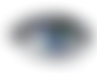 އެމީހަކަށް ހަތަރު ލޮލެއްވާ މީހަކު މެނުވީ އެކަކުވެސް ނުވެއެވެ.