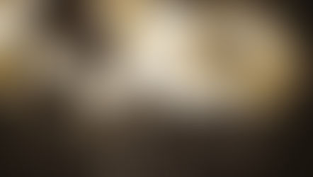 އިސްލާމްދީނާއި މުޖާހިދުންގެ ބާރު ދުނިޔޭގައި ފެތުރިދާނެތީ ހުޅަނގާއި އެމެރިކާ ބިރުގަންނަނީ ކީއްވެ؟