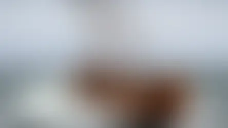 މީހަކު ދާވޫދު އައްޠާއީ (165ހ) ގެ އަރިހުން ވަޞިއްޔަތެއް ކުރެއްވުމަށް އެދުމުން ފެންކަޅިވެފައިވާ ޙާލު ވިދާޅުވިއެވެ: