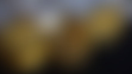 އަޅާގެ މުދަލާއި ފައިސާގައި އޭނާ އަދާކުރަން ޖެހޭ ވަޒީފާތައް ބަޔާންކުރުން: