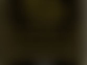 ފޮތް/ ދީނުގެ އަޞްލުތަކުގެ ތެރެއިން އަޞްލެއްކަމުގައިވާ.....