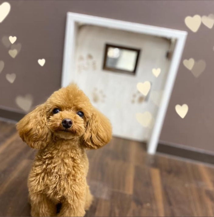 \初めましてキャンペーン/