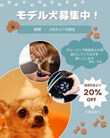 Dog salon treatのコピー - 1.png