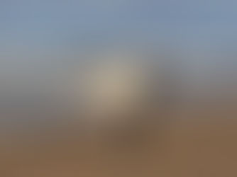 Our Lovely Yoga Community: Sharing Joy on and off the Mat