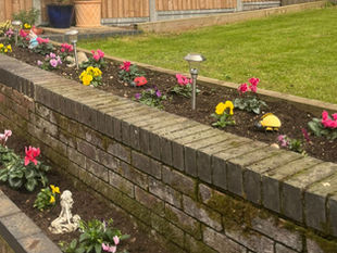 Heart Chakra Healing, Class Updates and Mindful Gardening