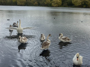 The Throat Chakra, Our Yoga Community, and a Sleep Breathing Technique