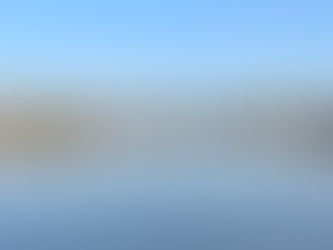 From Yamas to Niyamas