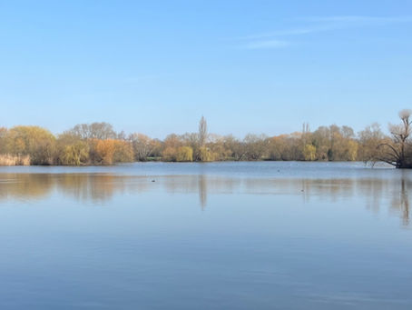 From Yamas to Niyamas