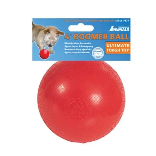 Company Of Animals Boomer Ball 4inches/10cm Blue Viking Raw