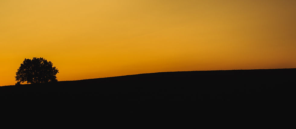 paysage-saison.jpg