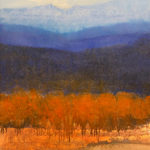 Fire trees.jpeg