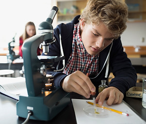 Experimenting in Lab