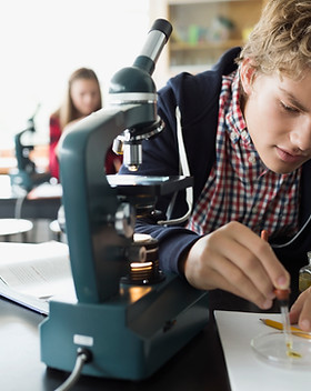 Experimenting in Lab