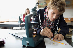 Experimenting in Lab