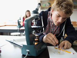 15 Research Project Ideas for High School Students