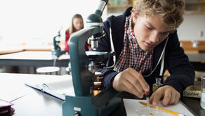 Summer school on algae and diatoms
