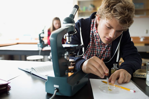 Experimentação no laboratório