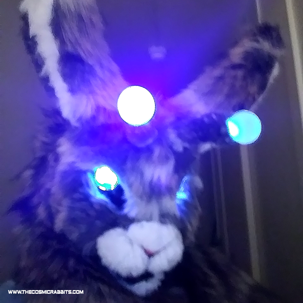 Cosmic Rabbit Us Cosmic rabbit character